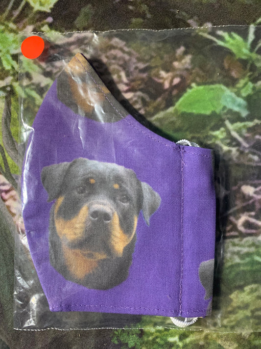 Rottweiler on purple