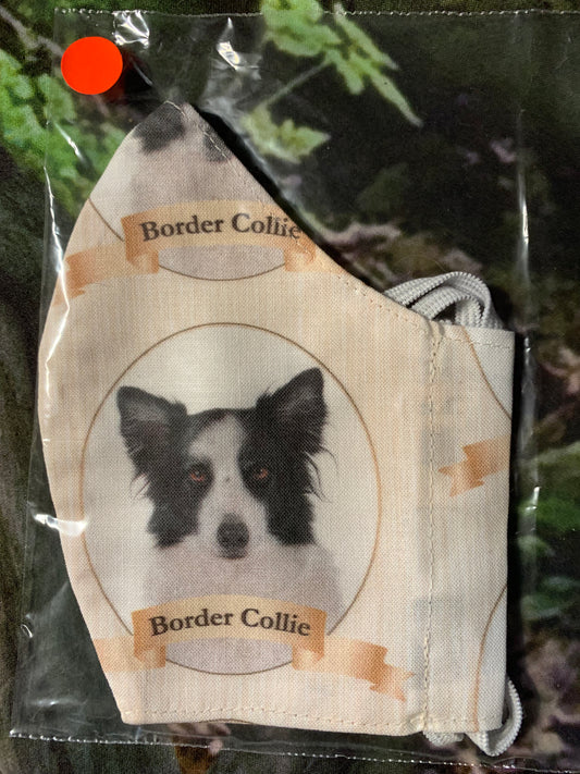 Black & White Border Collie Head